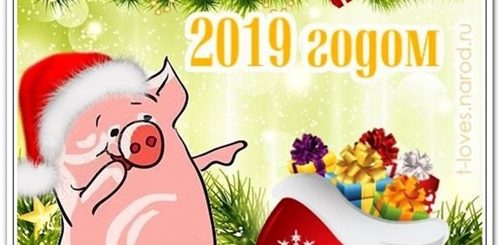 Новогоднее Поздравление Свинья