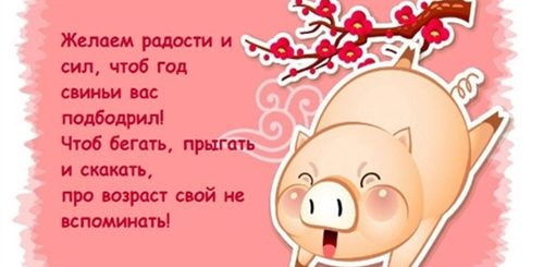 Новогодние Пожелания В Год Свиньи В Стихах