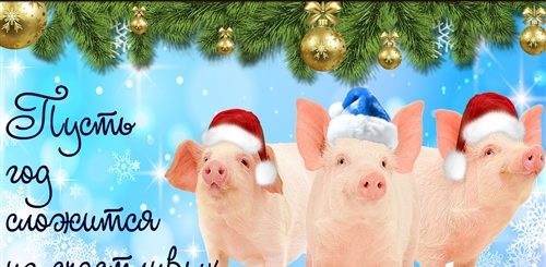 Открытки Новогоднее Поздравление Клиентов Год Свиньи 2021