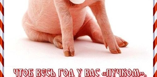Поздравление От Поросят На Новый Год