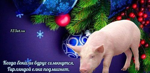 Поздравление От Свиньи Кабана С Новым Годом
