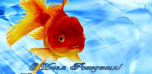 Поздравление С Днем Рождения Мужчине Рыбке