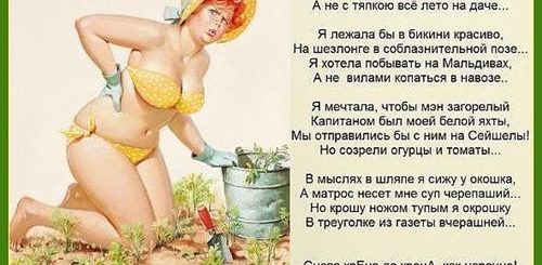 Поздравление С Днем Женщине Дачнице