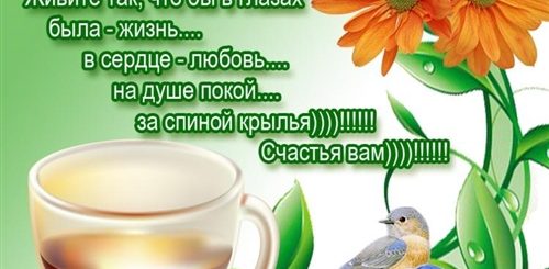 Поздравление С Добрым Днем В Прозе