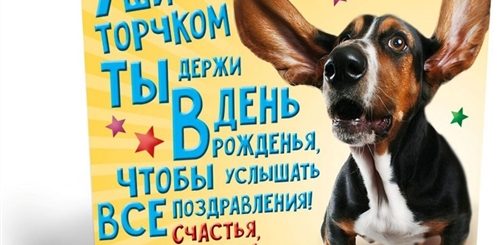 Поздравление В Прозе С Днем Собаки