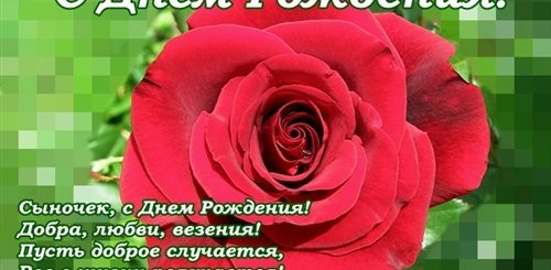 Поздравление Взрослому Сыну От Родителей