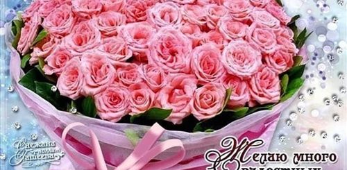 Поздравления С Днем Рождения Для Вайбера Бесплатно