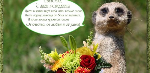 Поздравления С Днем Рождения Светлане Прикольные