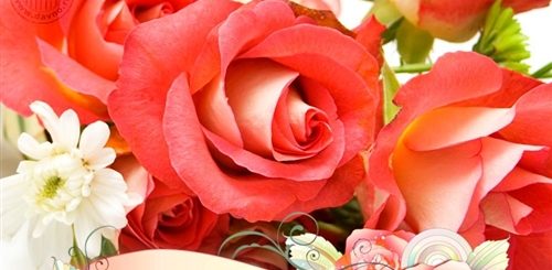 Поздравления С Днем Рождения Женщине Букет Роз