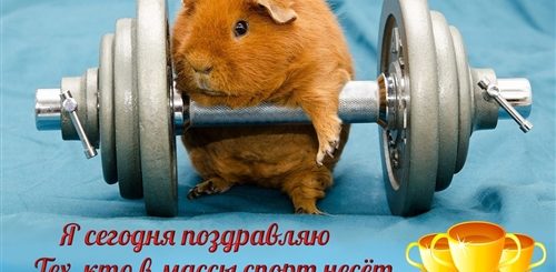 Поздравления С Днем Спорта В Прозе