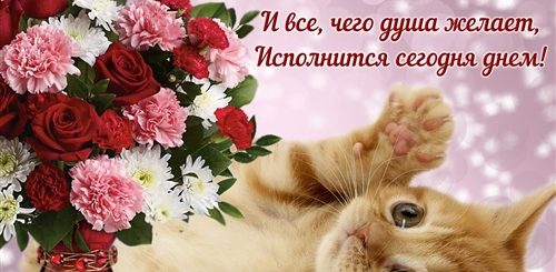 Поздравления С Хорошим Днем