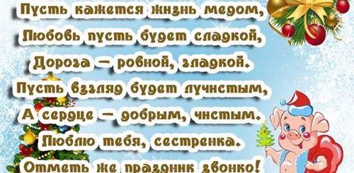 Поздравления С Новым Годом Прикольные В Стихах Сестре