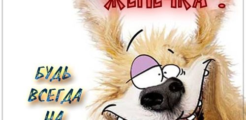 Прикольное Поздравление Евгении