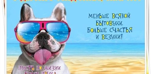 Прикольные Поздравления С Днем Рождения Ватсап
