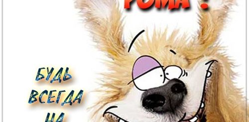 С Днем Рождения Рома Прикольные Поздравления