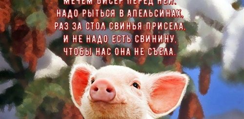 Шуточные Новогодние Поздравления В Год Свиньи 2021