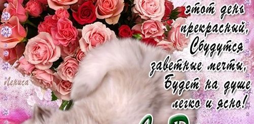 Скачать Для Вайбера Поздравления С Днем