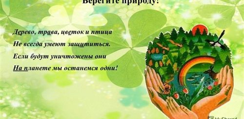 Слоган Включающий Новогоднее Поздравление И Беречь Природу