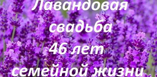 46 Лет Совместной Жизни Какая Свадьба Поздравления
