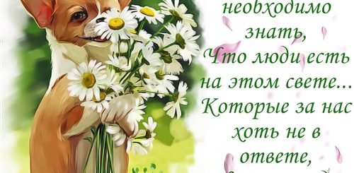 Бесплатные Поздравления Для Друзей В Одноклассниках Бесплатно