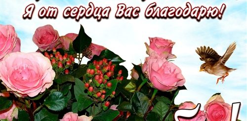 Благодарность За Поздравления Друзьям В Одноклассниках Открытка
