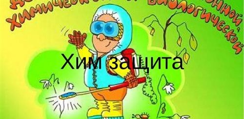 День Рхбз Войск Поздравления Смешные