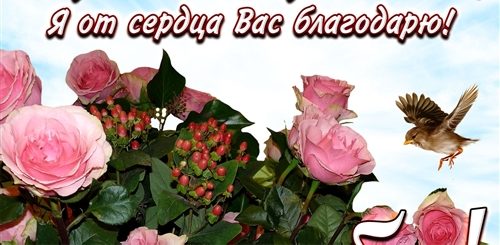 Искренняя Благодарность За Поздравления