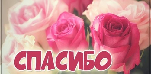 Картинки Девчонки Спасибо За Поздравления