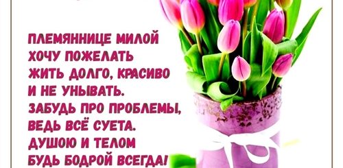Короткие Поздравления Племяннице От Тети