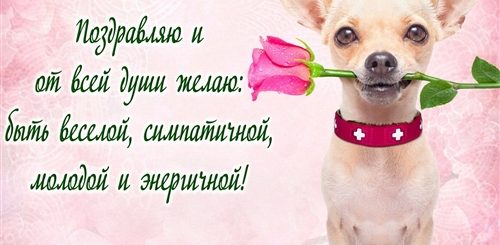 Короткое Поздравление С Др Девушке
