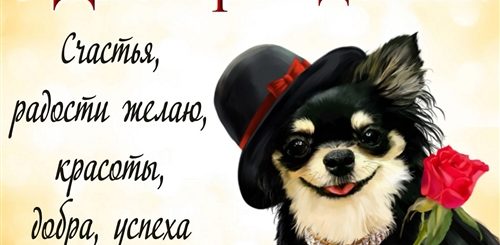Лучшие Поздравления С Днюхой