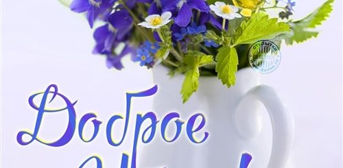 Мир Поздравлений Доброе Утро