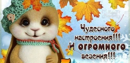 Ноябрьское Доброе Утро Видео Поздравление Скачать Бесплатно