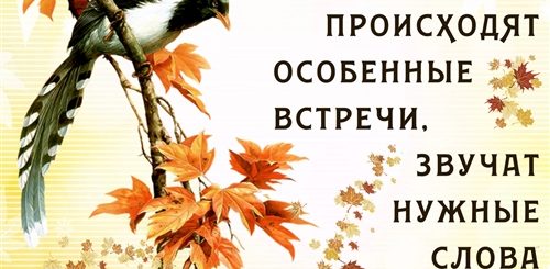 Осень С Поздравления Картинки Доброго Дня