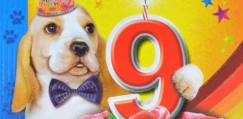 Поздравление Друга С 9 Летием