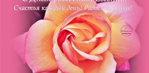 Поздравление Коллеге Евгении С Днем Рождения