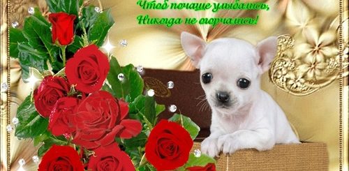 Поздравление С Днем Рождения Людмиле Анимация