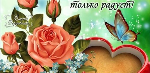 Поздравление С Добрым Днем Видео Для Ватсапа