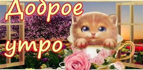Поздравление С Добрым Утром Женщине Тик Ток