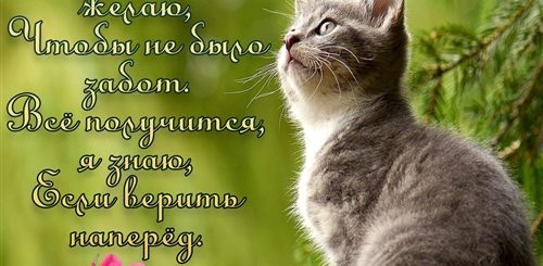 Поздравление С Новым Прекрасным Днем