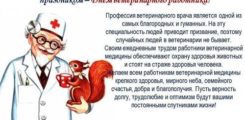 Поздравление С Первым Днем Работы Ветеринаром