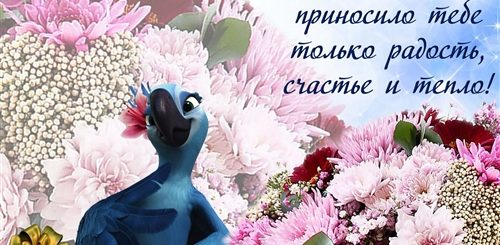 Поздравление Сестре На 11 Лет