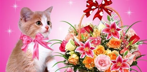 Поздравления Днем Рождения Дочери Настеньке