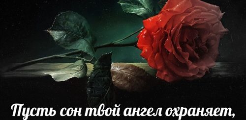Поздравления Доброй Ночи Женщине