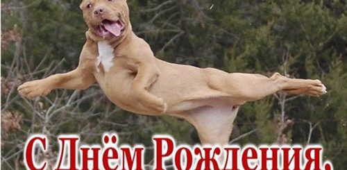 Поздравления С Днем Рождения Брату Лехе