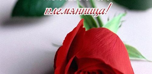 Поздравления С Днем Рождения Племянница Юлию