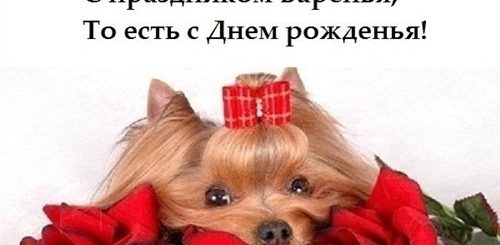 Поздравления С Днем Рождения По Имени Юля