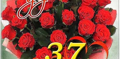 Поздравления С Днем Рождения Подруге 37