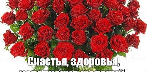 Поздравления С Днем Рождения Тете Гале