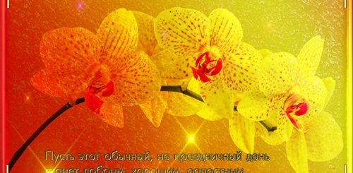 Поздравления С Добрым Утром Гифки